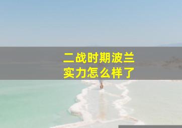 二战时期波兰实力怎么样了