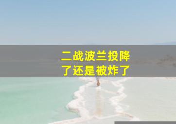 二战波兰投降了还是被炸了