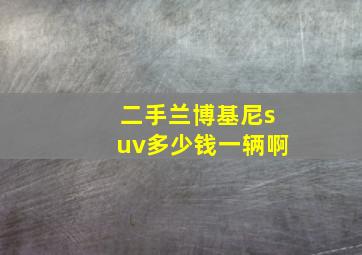 二手兰博基尼suv多少钱一辆啊