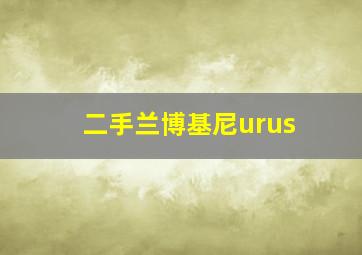 二手兰博基尼urus