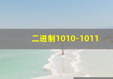 二进制1010-1011