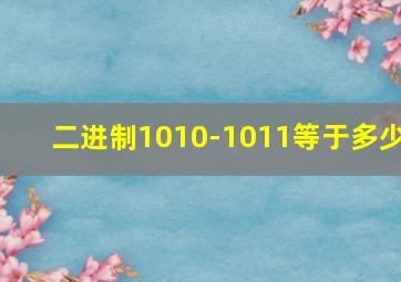 二进制1010-1011等于多少