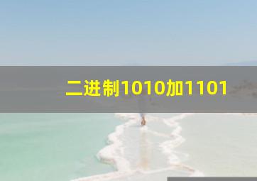 二进制1010加1101