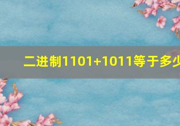 二进制1101+1011等于多少