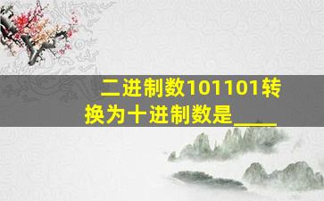 二进制数101101转换为十进制数是____