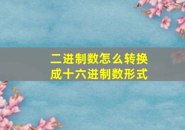 二进制数怎么转换成十六进制数形式