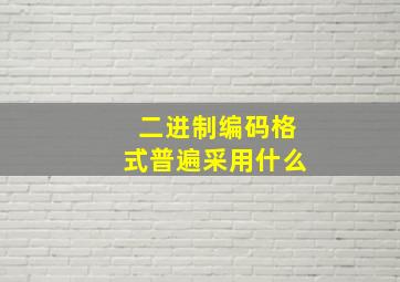 二进制编码格式普遍采用什么