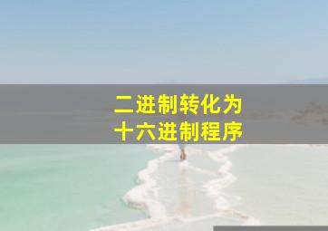 二进制转化为十六进制程序