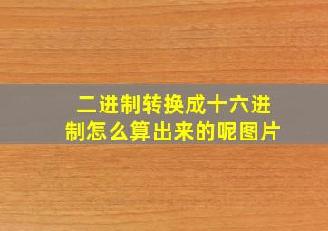 二进制转换成十六进制怎么算出来的呢图片