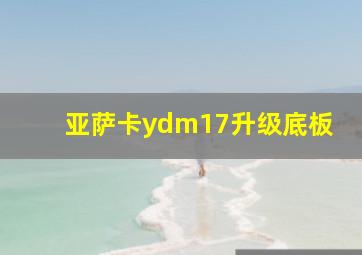 亚萨卡ydm17升级底板