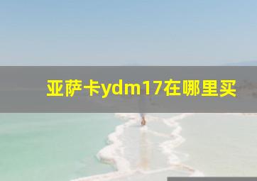 亚萨卡ydm17在哪里买