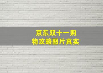 京东双十一购物攻略图片真实