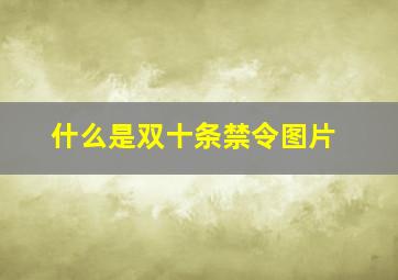 什么是双十条禁令图片