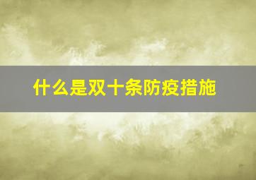 什么是双十条防疫措施