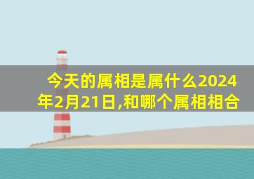 今天的属相是属什么2024年2月21日,和哪个属相相合