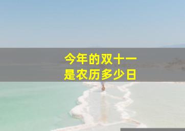 今年的双十一是农历多少日