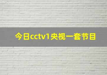 今日cctv1央视一套节目