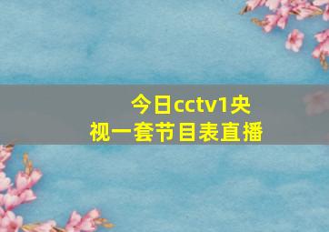 今日cctv1央视一套节目表直播