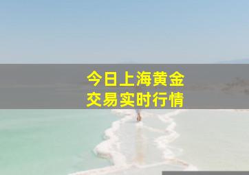 今日上海黄金交易实时行情