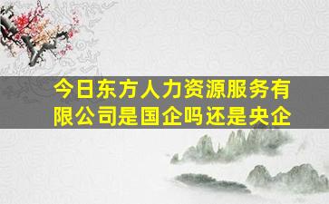 今日东方人力资源服务有限公司是国企吗还是央企