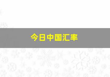 今日中国汇率