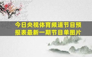 今日央视体育频道节目预报表最新一期节目单图片