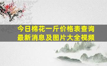 今日棉花一斤价格表查询最新消息及图片大全视频