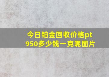 今日铂金回收价格pt950多少钱一克呢图片