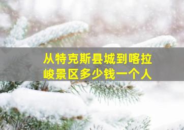 从特克斯县城到喀拉峻景区多少钱一个人