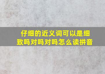 仔细的近义词可以是细致吗对吗对吗怎么读拼音