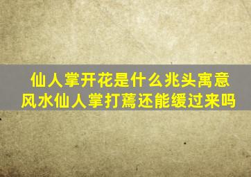 仙人掌开花是什么兆头寓意风水仙人掌打蔫还能缓过来吗