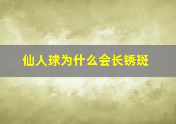 仙人球为什么会长锈斑