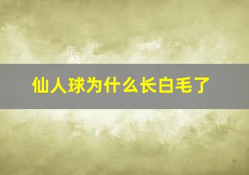 仙人球为什么长白毛了