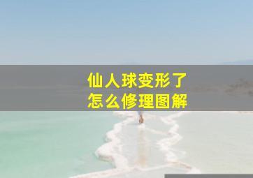 仙人球变形了怎么修理图解