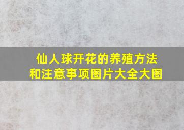 仙人球开花的养殖方法和注意事项图片大全大图