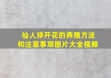 仙人球开花的养殖方法和注意事项图片大全视频