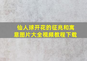 仙人球开花的征兆和寓意图片大全视频教程下载