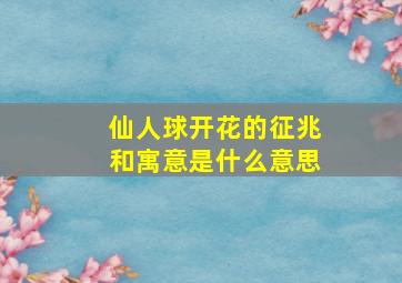 仙人球开花的征兆和寓意是什么意思