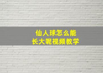 仙人球怎么能长大呢视频教学