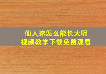 仙人球怎么能长大呢视频教学下载免费观看