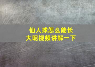 仙人球怎么能长大呢视频讲解一下