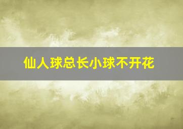 仙人球总长小球不开花