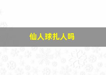 仙人球扎人吗