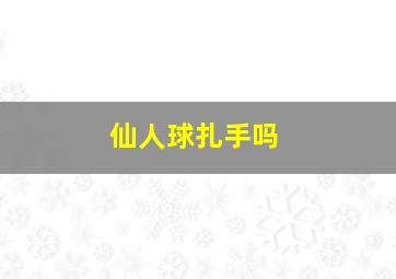 仙人球扎手吗