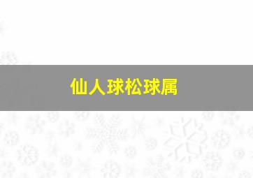 仙人球松球属