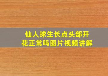 仙人球生长点头部开花正常吗图片视频讲解