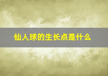 仙人球的生长点是什么