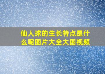 仙人球的生长特点是什么呢图片大全大图视频