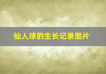 仙人球的生长记录图片