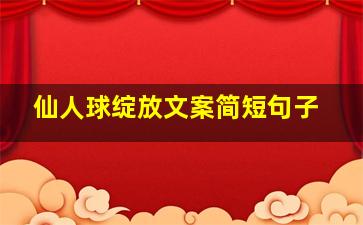 仙人球绽放文案简短句子